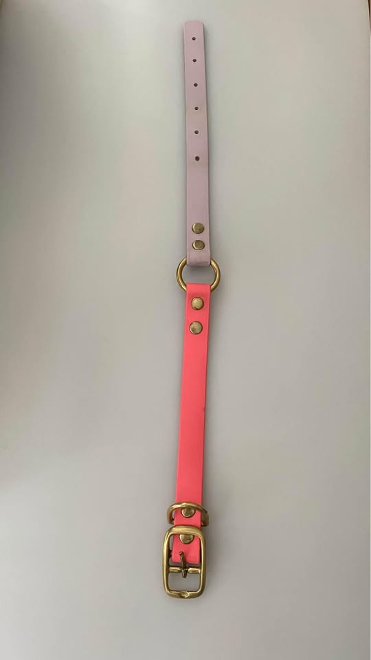 Biothane Dog Collar - photo 2