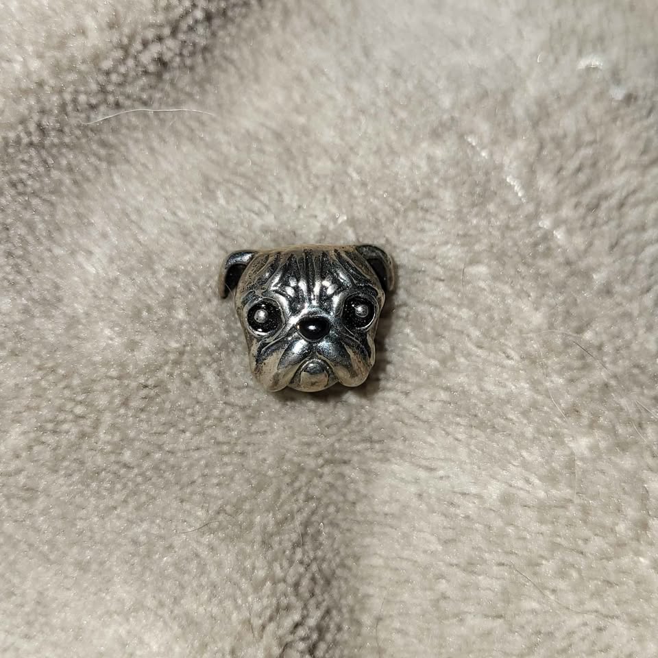 Pug 925 Sterling Silver Pandora Charm - photo 4