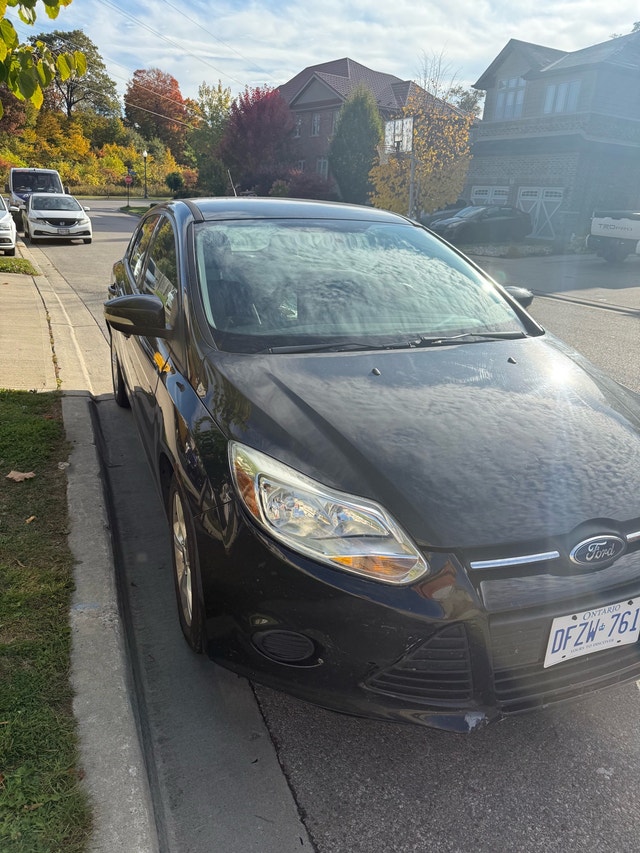 2014 Ford Focus - photo 5