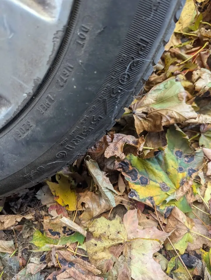 Honda wheels and tires Goodyear 205/55/ 16 off a Civic all seaso image indicator(4)