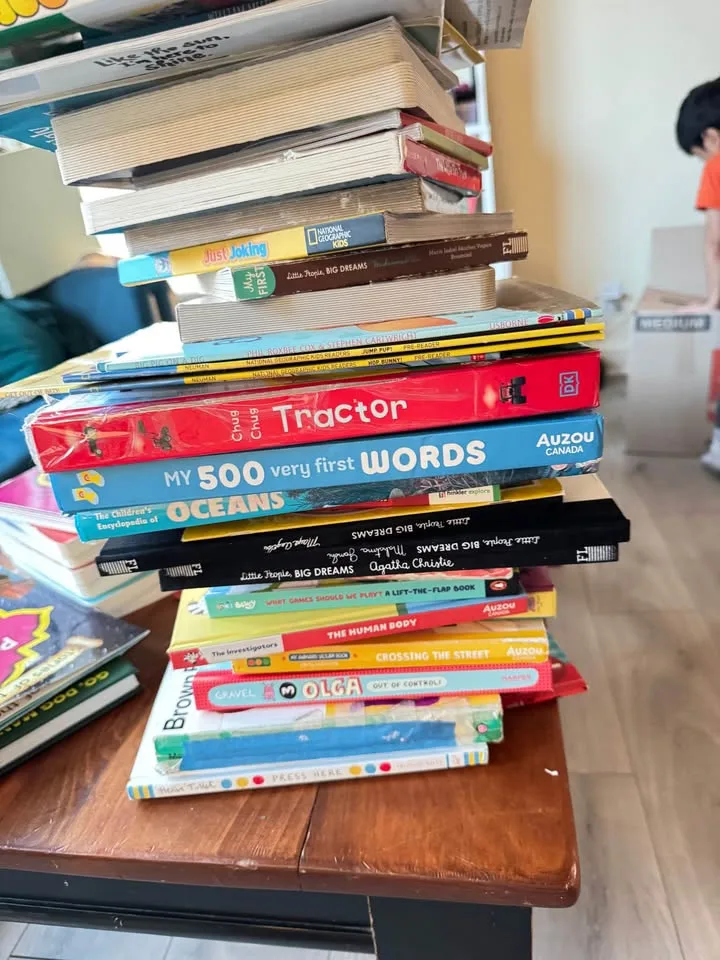 Huge bundle of kids books