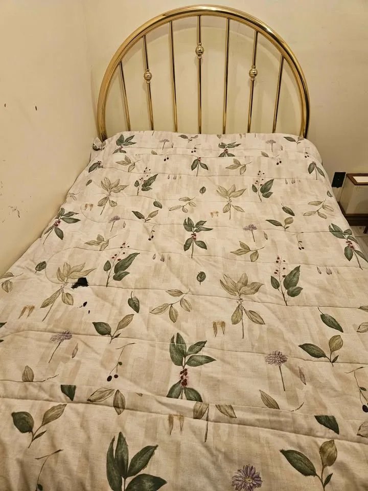 Twin Brass Metal Bed Frame and Mattress image indicator(2)