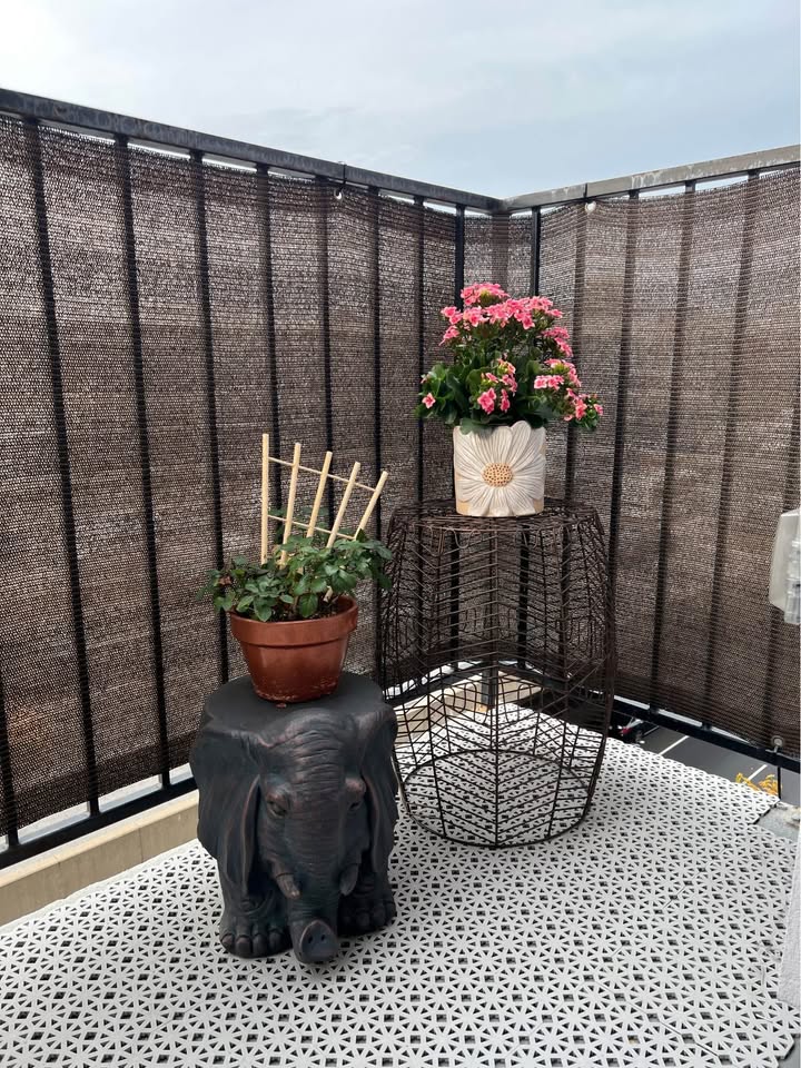 Daisy Pot + Flower Plant - photo 3
