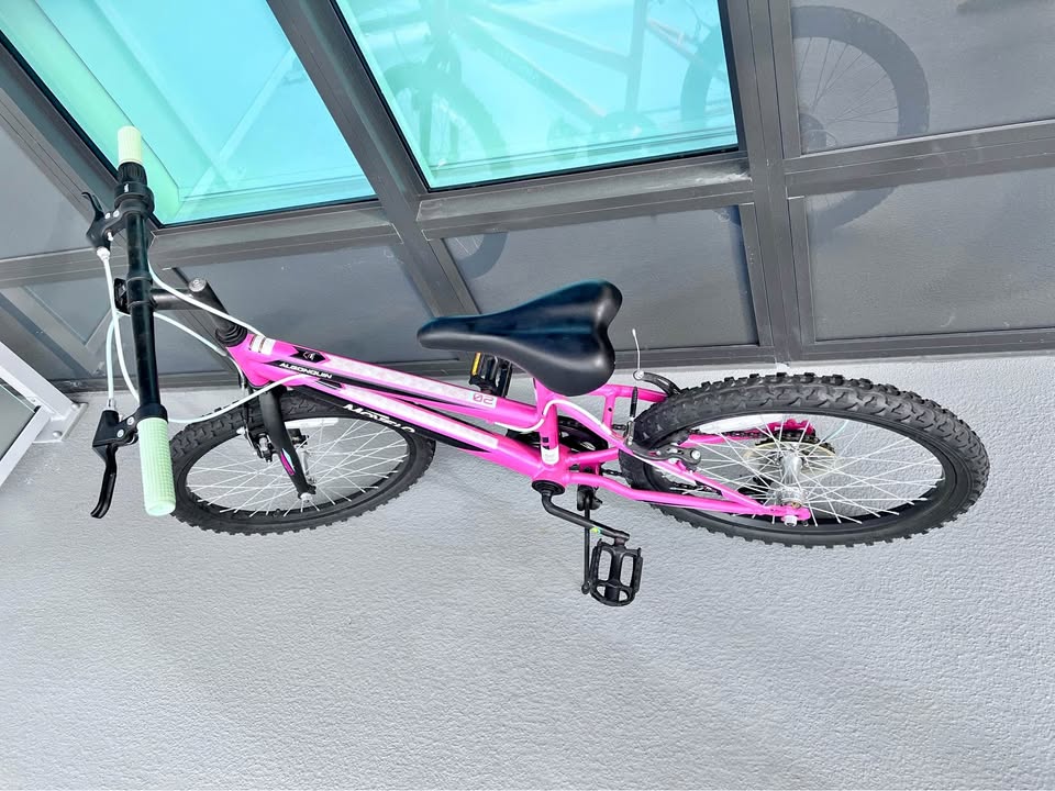 🌸 Girls 20” Bike – Like New – $55