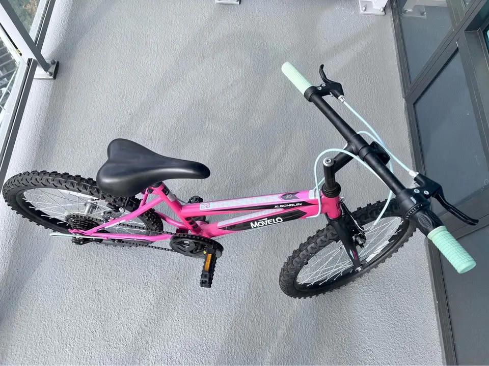 🌸 Girls 20” Bike – Like New – $55 image indicator(2)