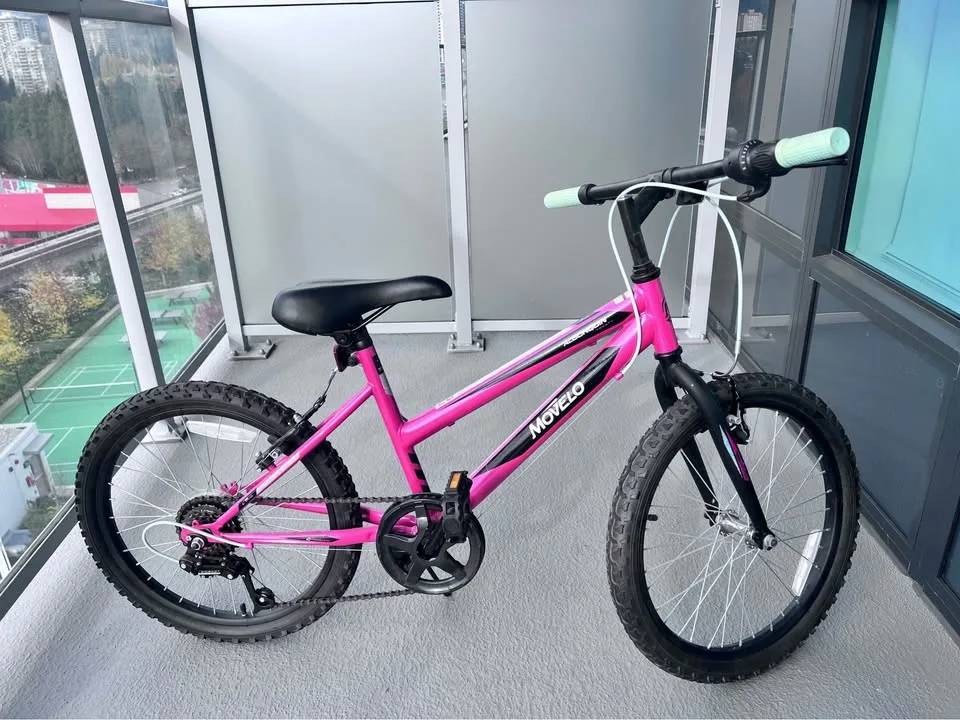 🌸 Girls 20” Bike – Like New – $55 image indicator(3)
