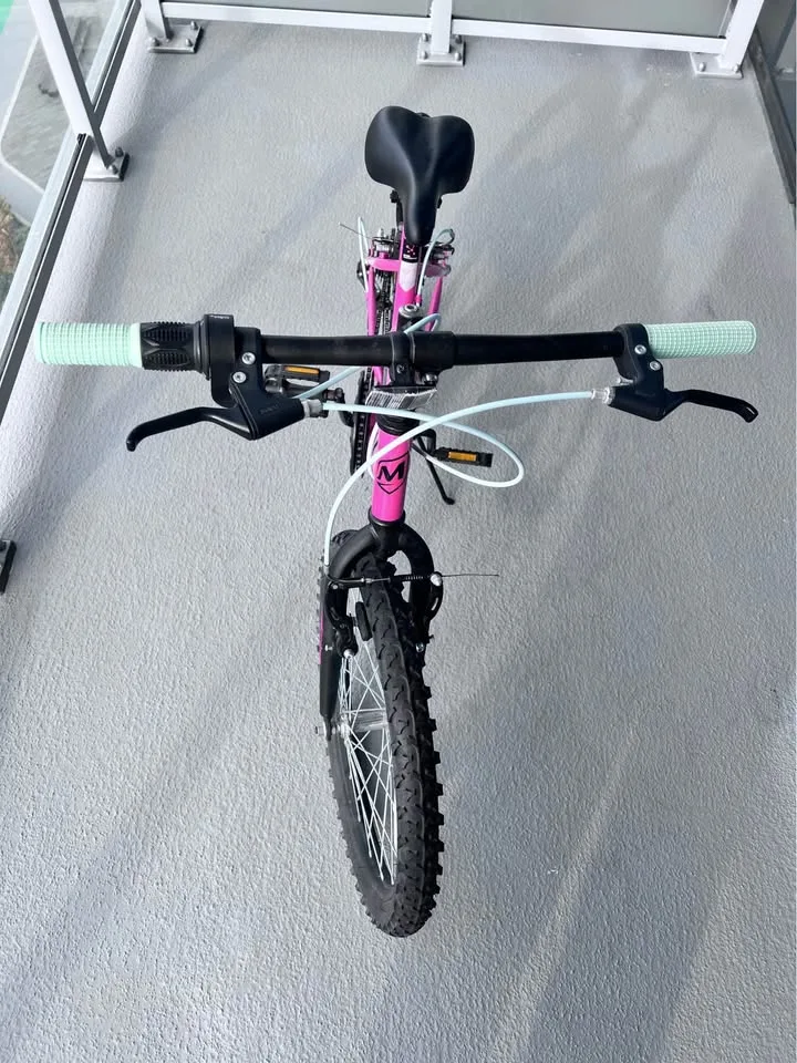 🌸 Girls 20” Bike – Like New – $55 image indicator(5)