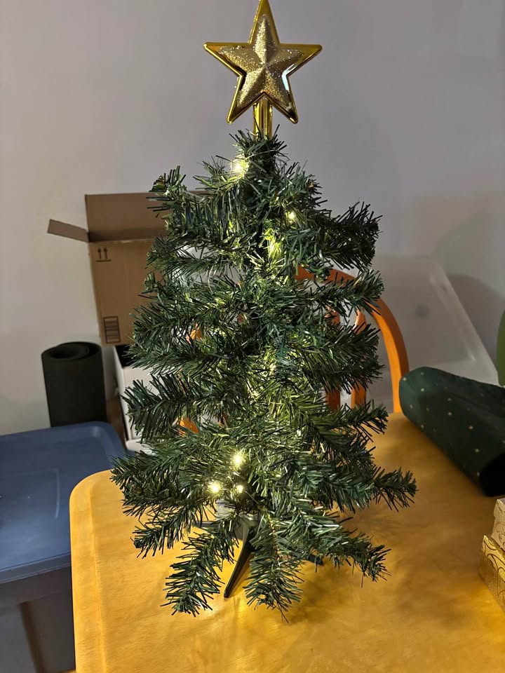 Mini Christmas Tree