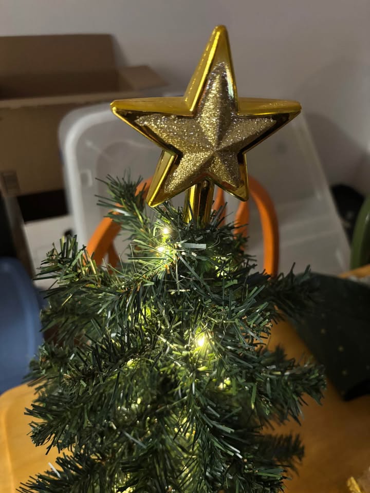 Mini Christmas Tree - photo 2