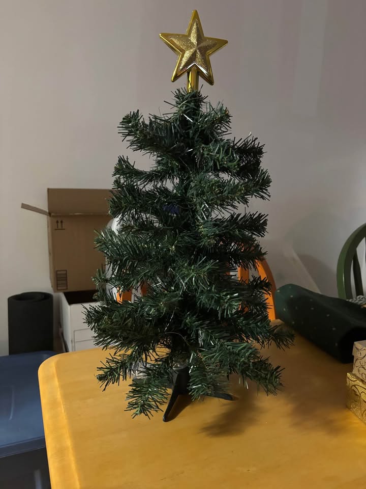 Mini Christmas Tree - photo 3