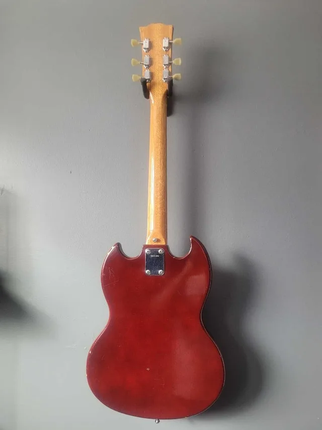 Dana electric guitarc image indicator(2)