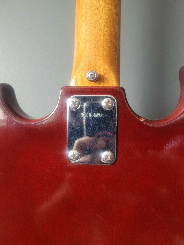 Dana electric guitarc - photo 3