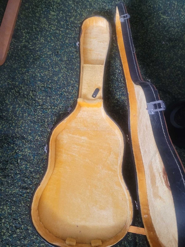 Dana electric guitarc - photo 4