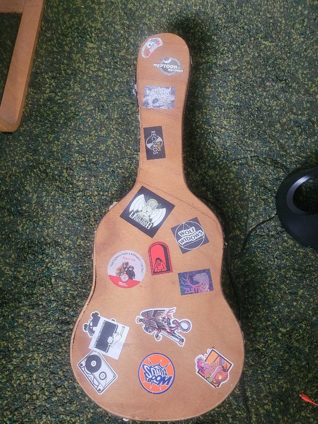 Dana electric guitarc - photo 5