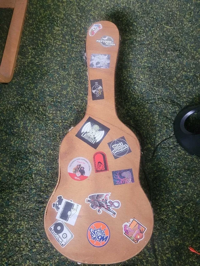 Dana electric guitarc image indicator(5)