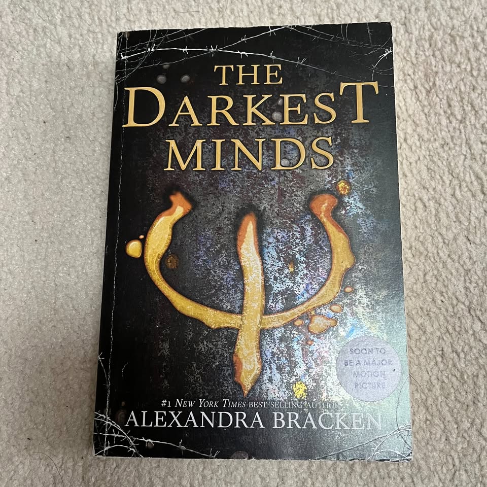 The Darkest Minds Series - by Alexandra Bracken - photo 3
