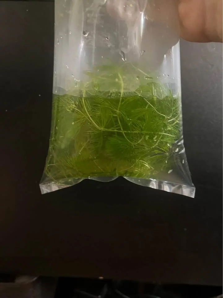 floating plants image indicator(2)