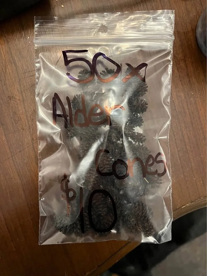 Alder cones image indicator(2)