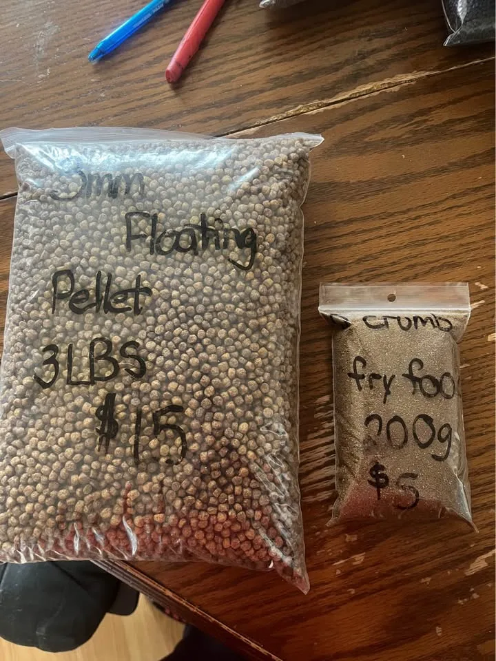 Fish food image indicator(2)