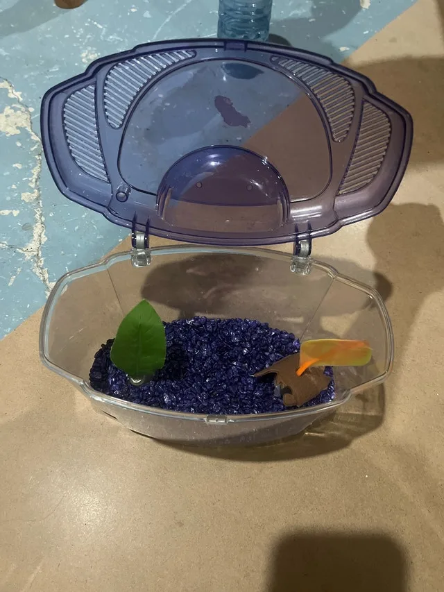 betta tank 1gallon image indicator(2)