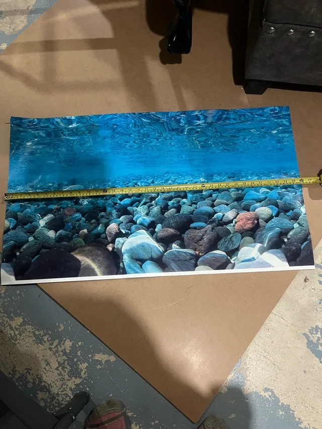 fish tank background