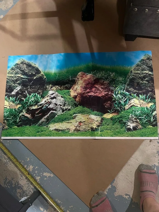 fish tank background image indicator(3)