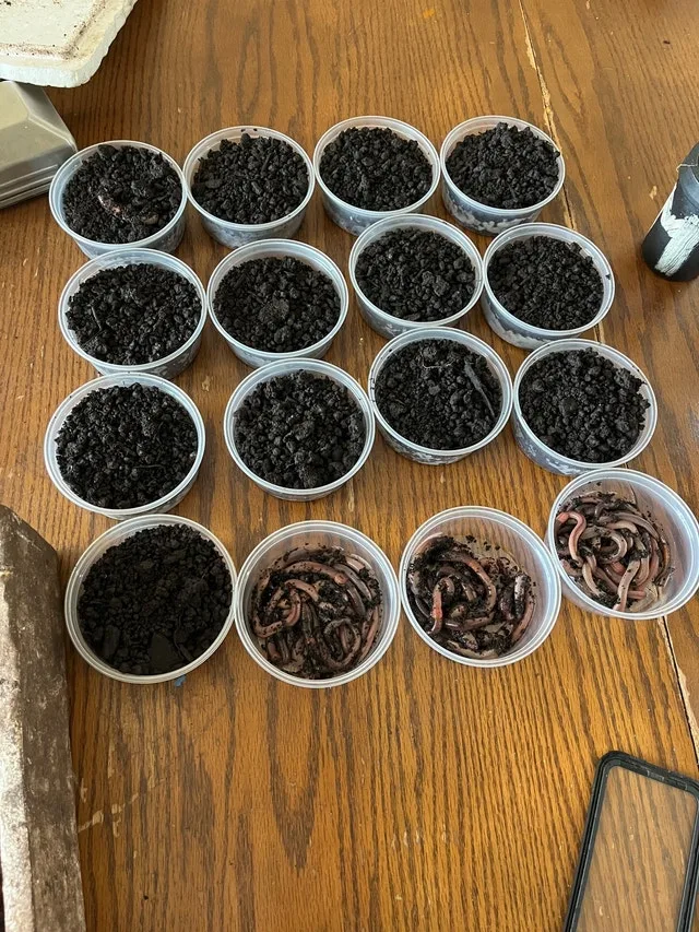 night crawlers image indicator(2)