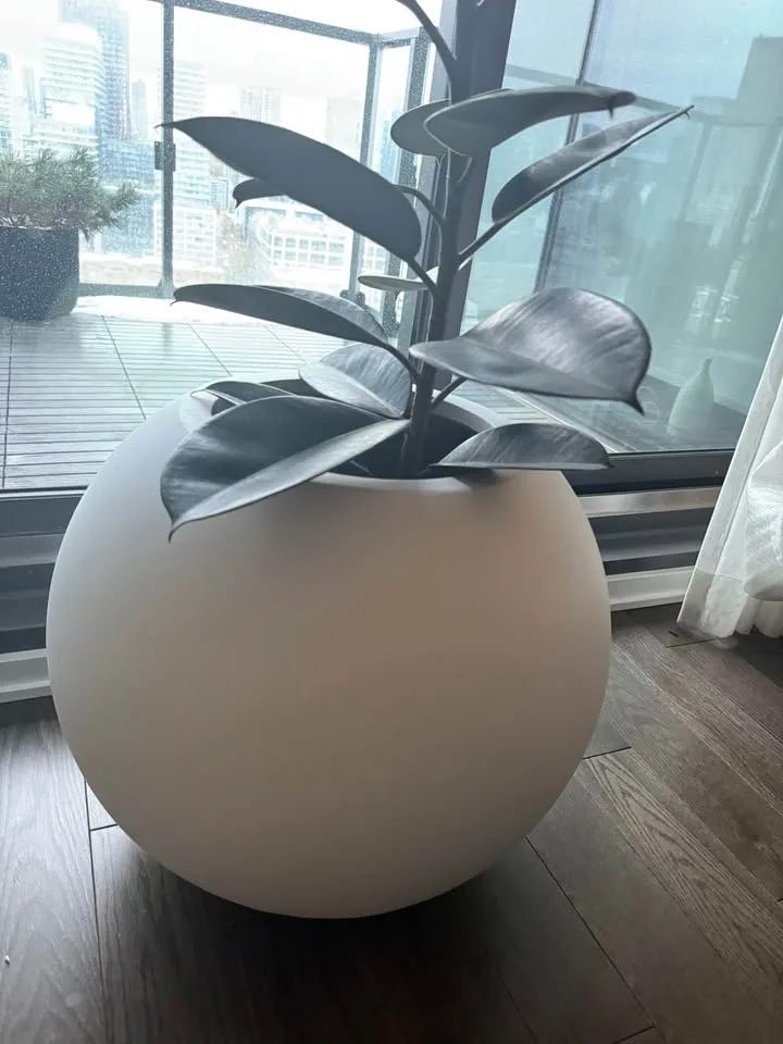 Crate & Barrel Sphere Planter – Small (White) image indicator(5)