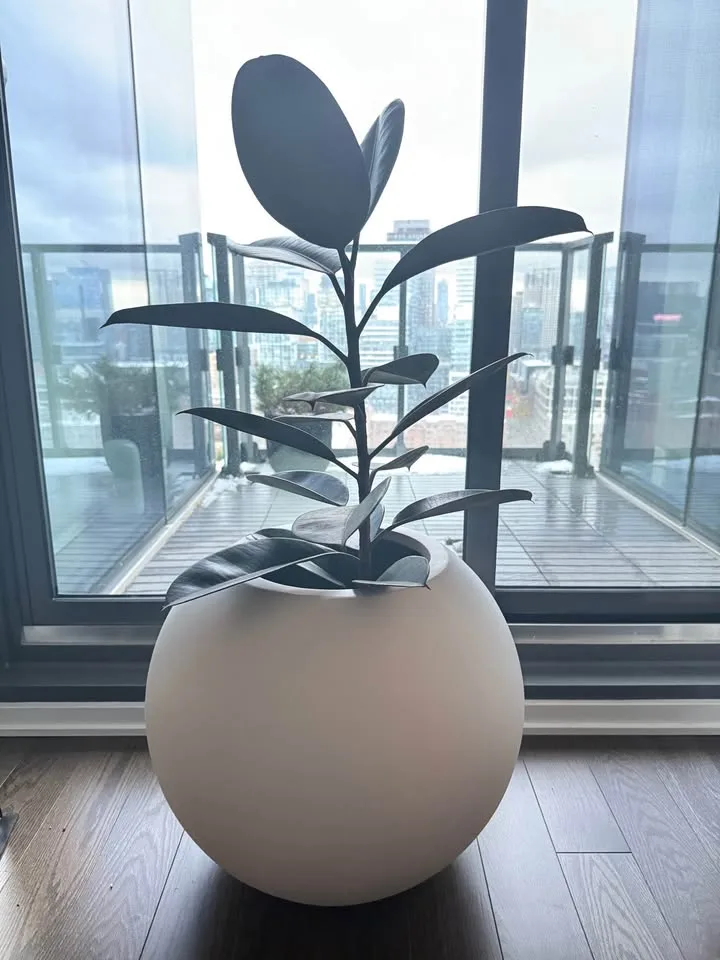 Crate & Barrel Sphere Planter – Small (White) image indicator(6)