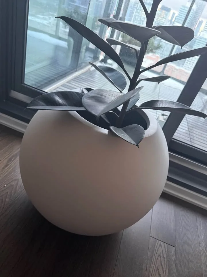 Crate & Barrel Sphere Planter – Small (White) image indicator(7)