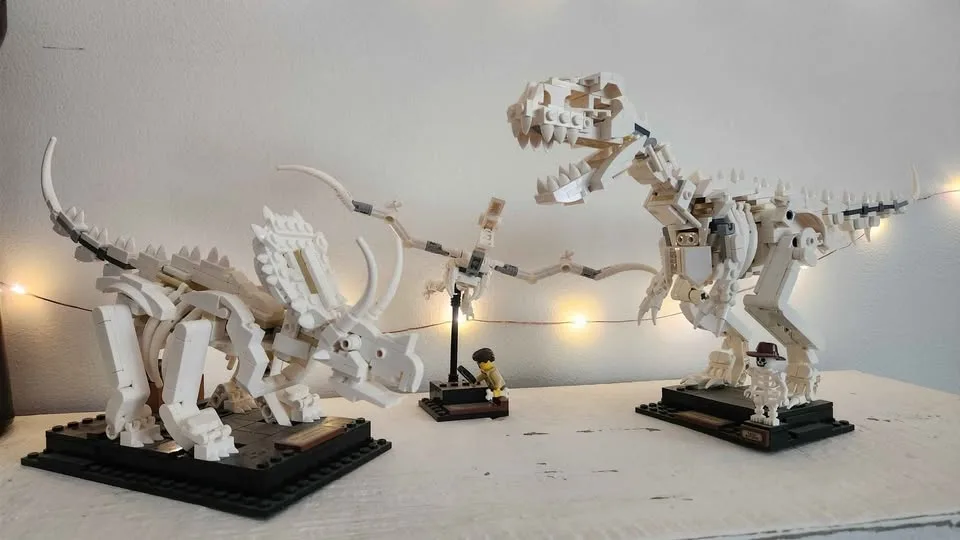 Lego Ideas Dinosaur Fossils 21320 image indicator(2)