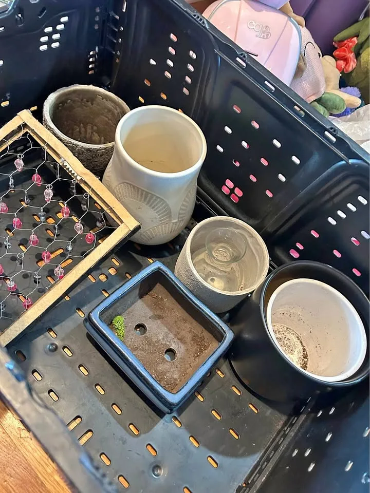 Terrariums, Planters, & vases vases (lot) thumbnail