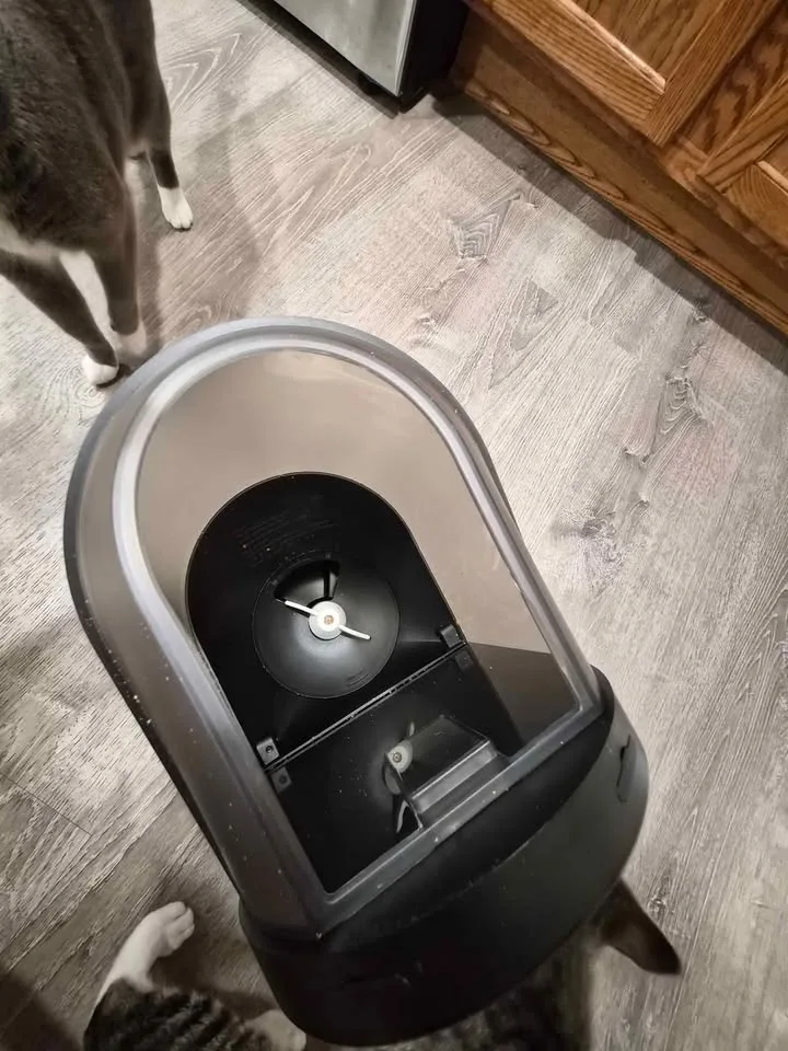 Cat Automatic Feeder w camera image indicator(5)