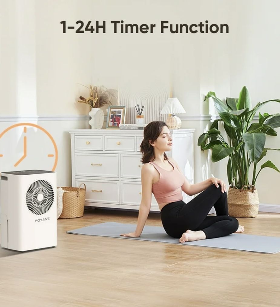 Airfire 8 Pint Dehumidifiers - photo 3