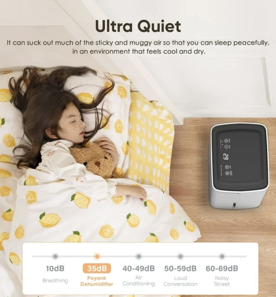 Airfire 8 Pint Dehumidifiers - photo 5