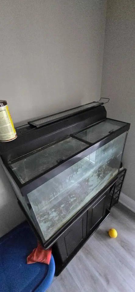 Aquarium 65 Gallon with Stand image indicator(2)