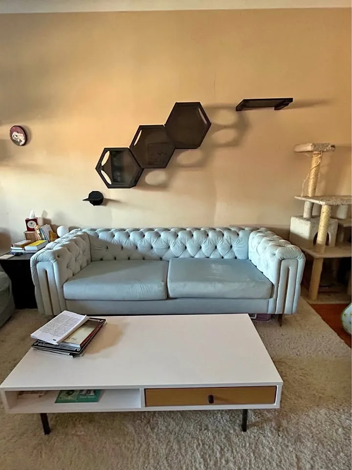 Mid-century Modern Powder Blue Sofa