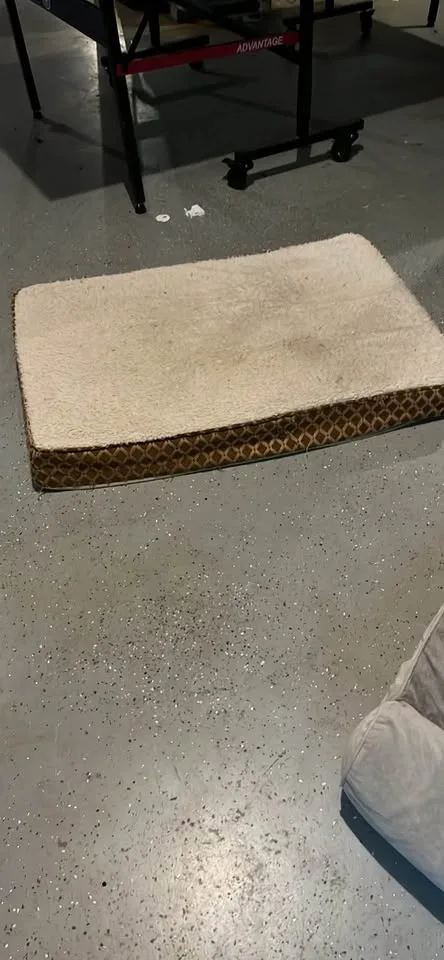 Rectangle Dog bed with memory foam image indicator(2)