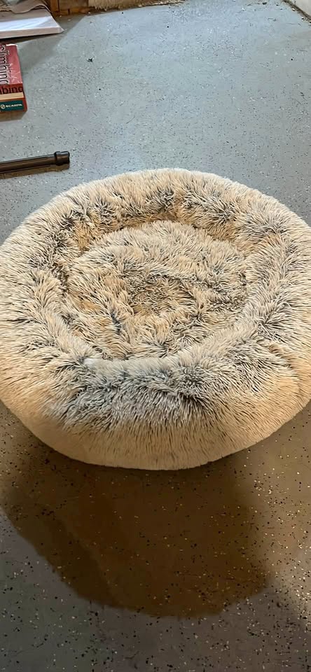 Round Dog beds