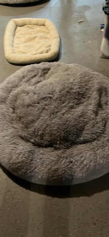 Round Dog beds - photo 2