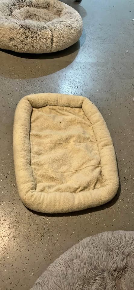 Crate dog bed