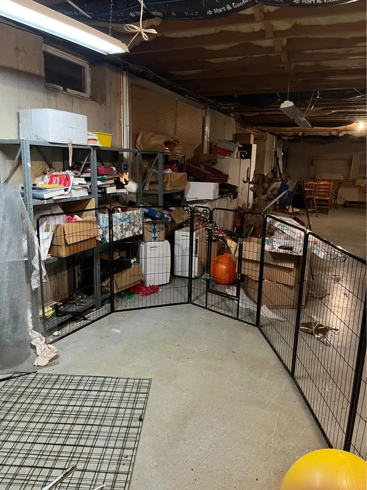 Dog or bunny fencing image indicator(3)