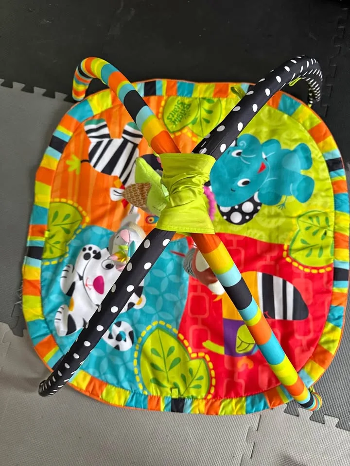 Bright Starts Safari Activity Gym, Spots and Stripes