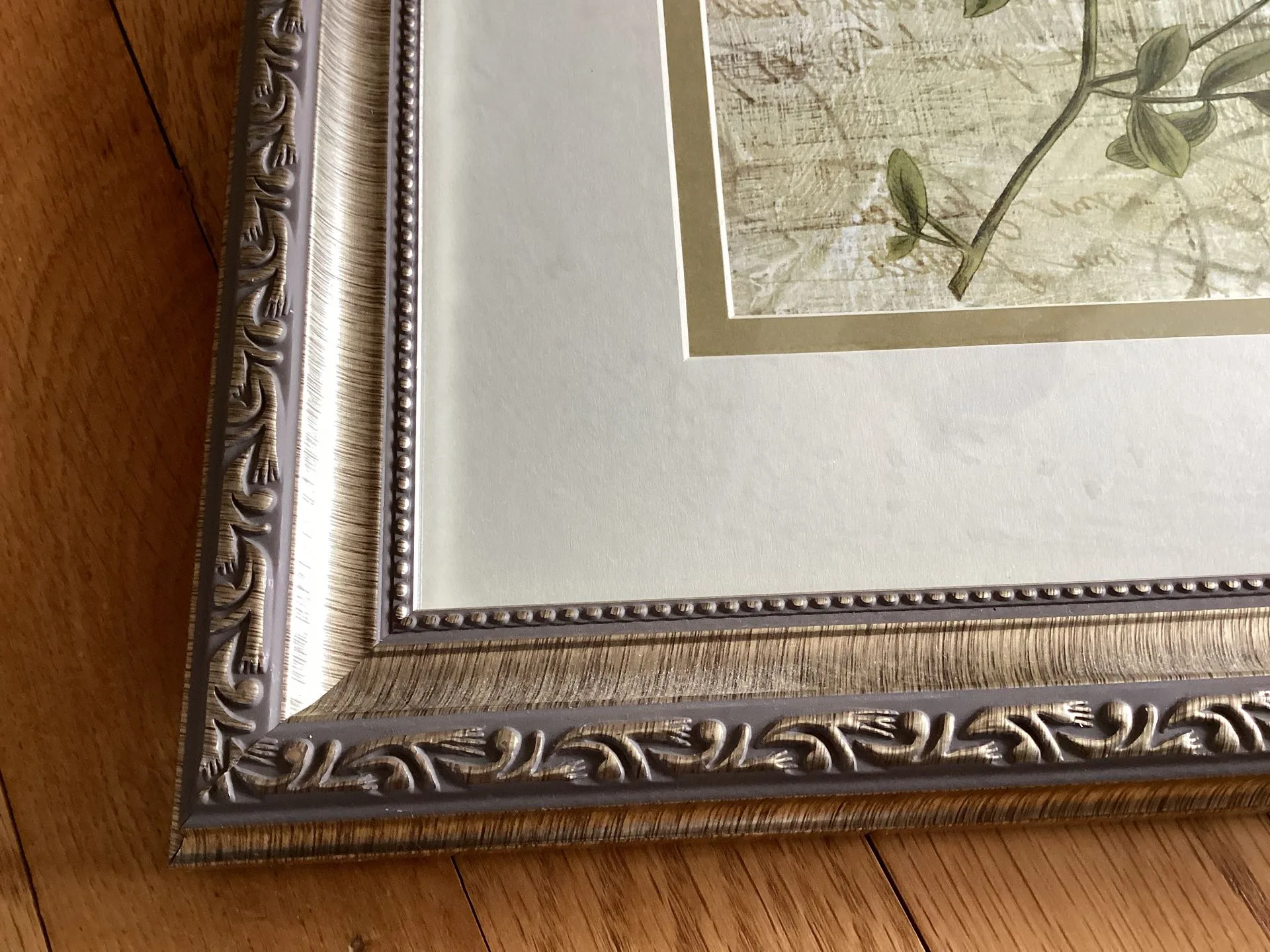 Framed Wall Art Botanical Garden With Glass (Set of 2 ) image indicator(11)