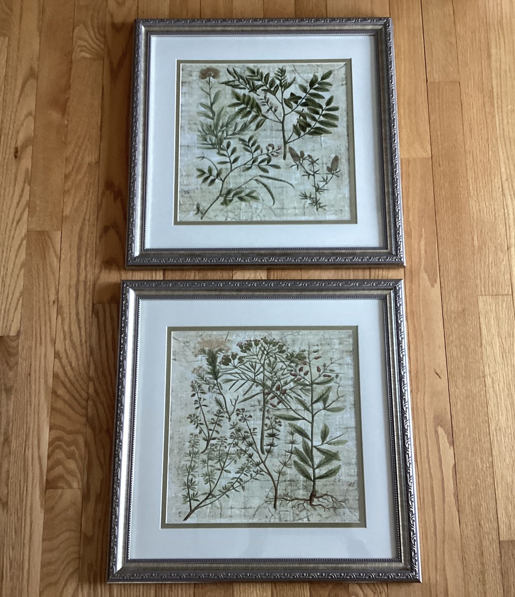 Framed Wall Art Botanical Garden With Glass (Set of 2 ) - photo 2