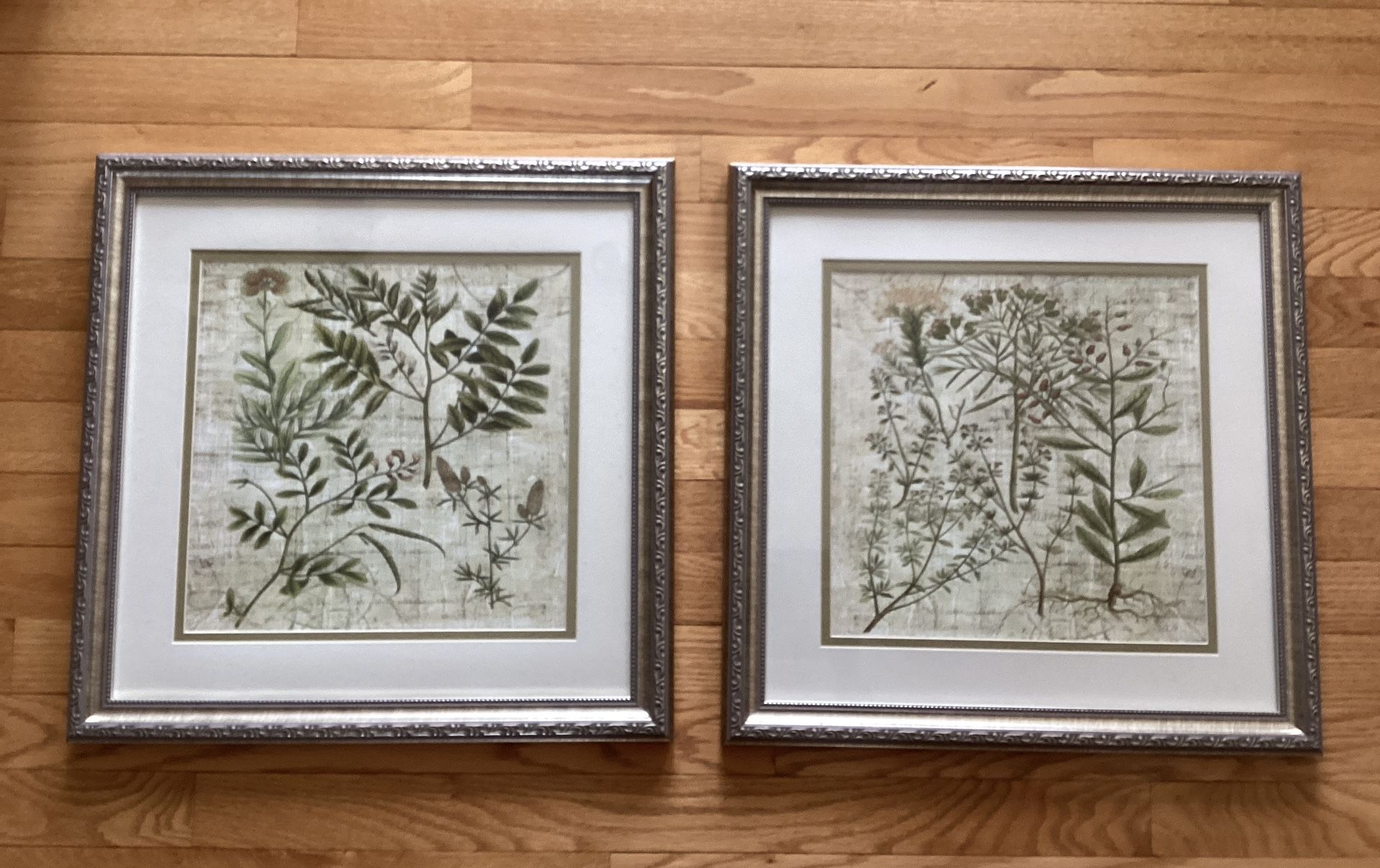 Framed Wall Art Botanical Garden With Glass (Set of 2 ) - photo 3