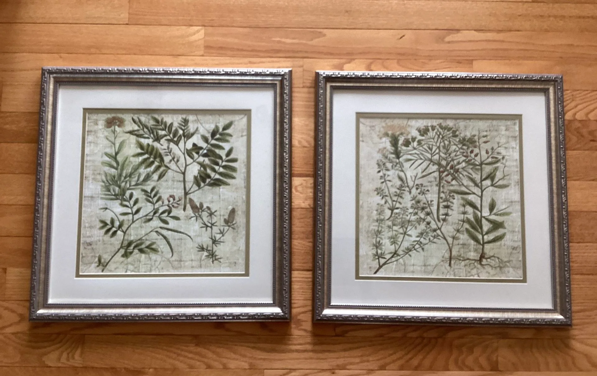 Framed Wall Art Botanical Garden With Glass (Set of 2 ) image indicator(3)