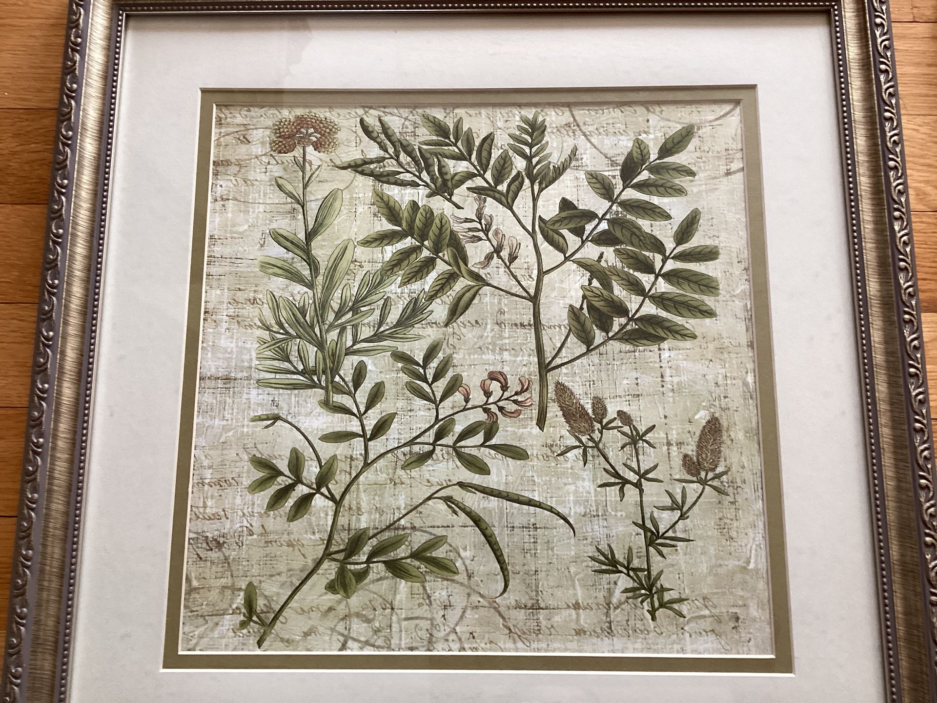 Framed Wall Art Botanical Garden With Glass (Set of 2 ) - photo 4