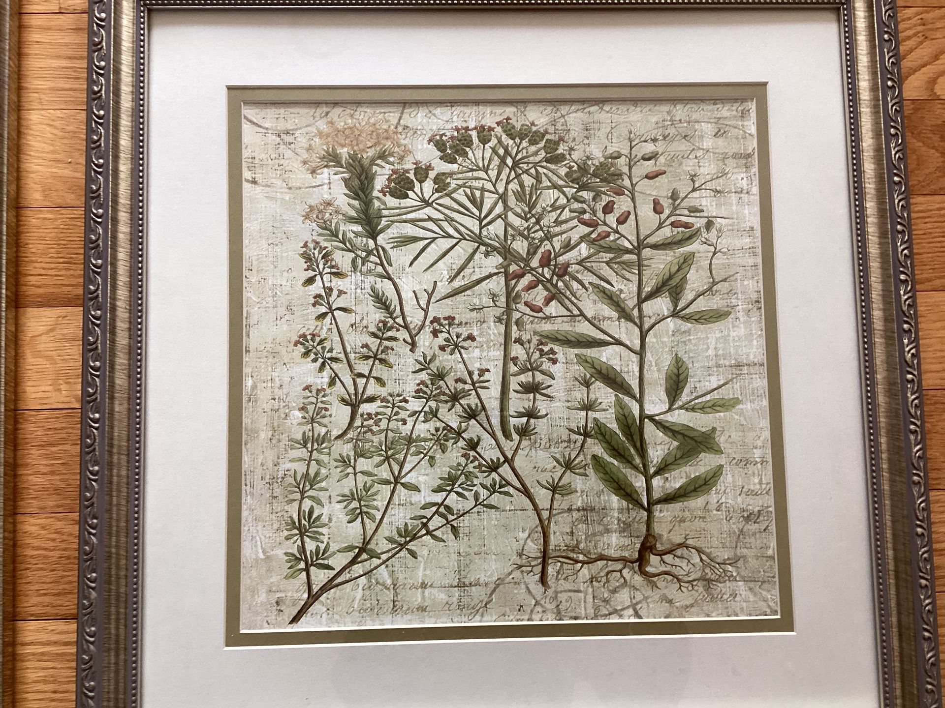 Framed Wall Art Botanical Garden With Glass (Set of 2 ) - photo 5