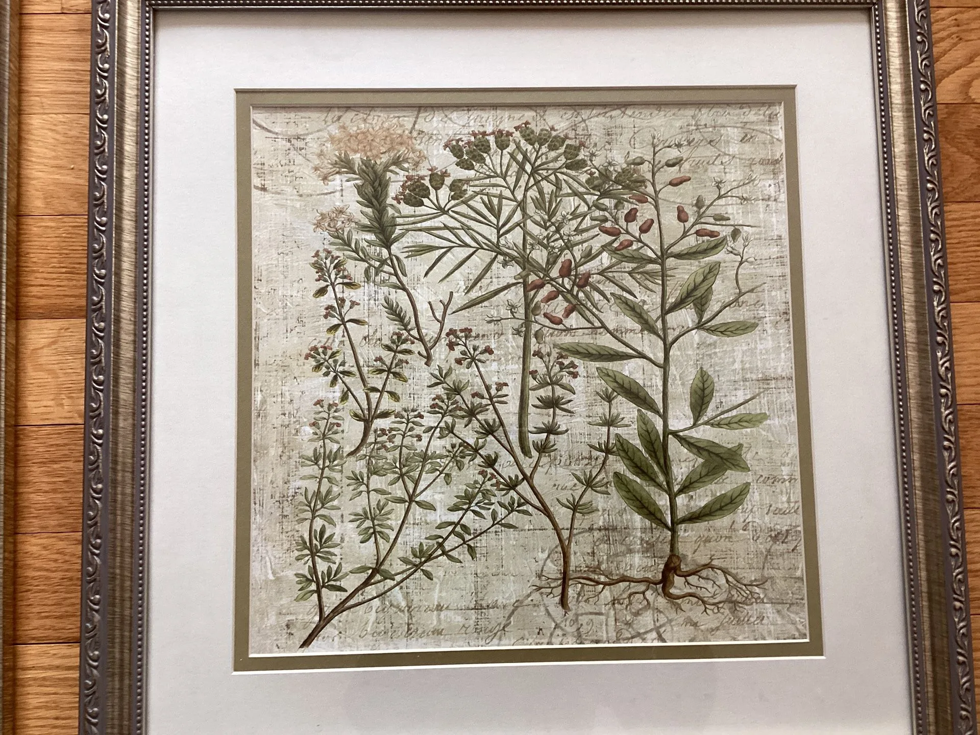 Framed Wall Art Botanical Garden With Glass (Set of 2 ) image indicator(5)